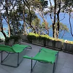 4950b Daire Kozarica